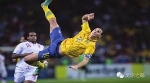 这种毅力和 这种毅力和