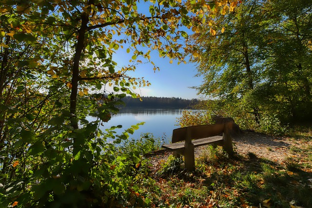 成為了一種 成為了一種