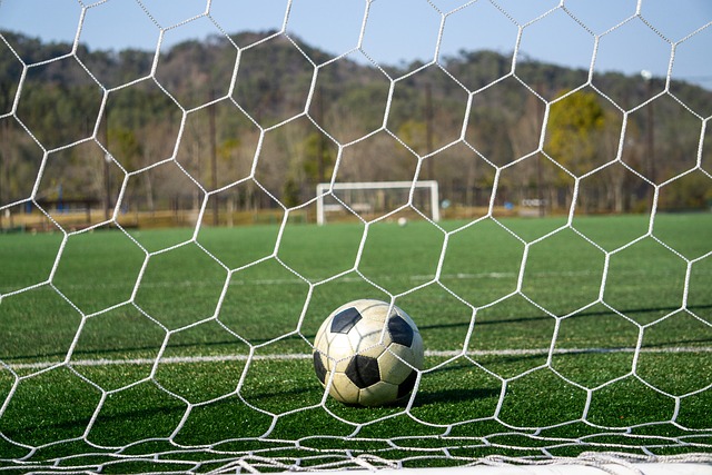 赛事IP生 赛事IP生