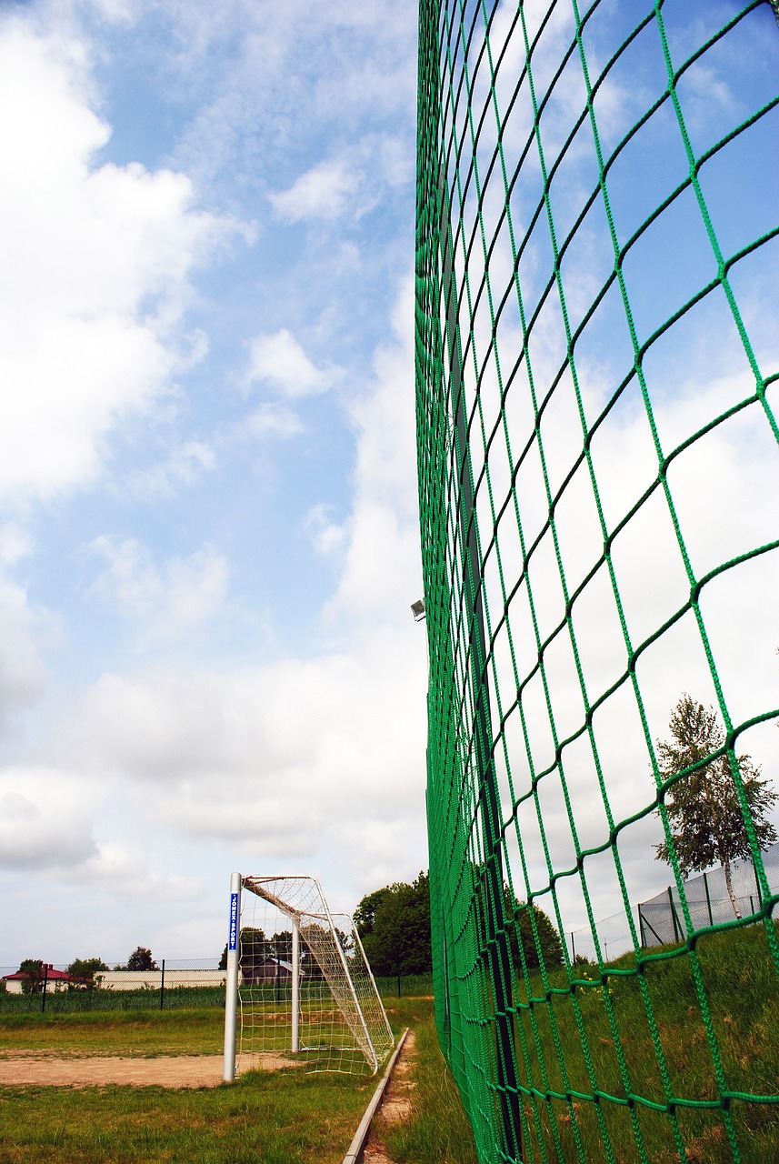 合作能夠帶 合作能夠帶