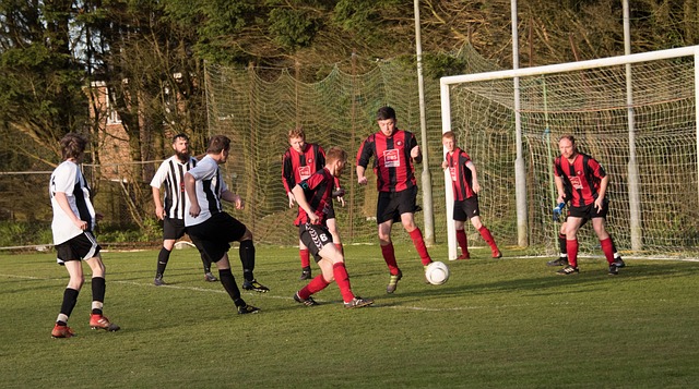 精心挑选了 精心挑选了